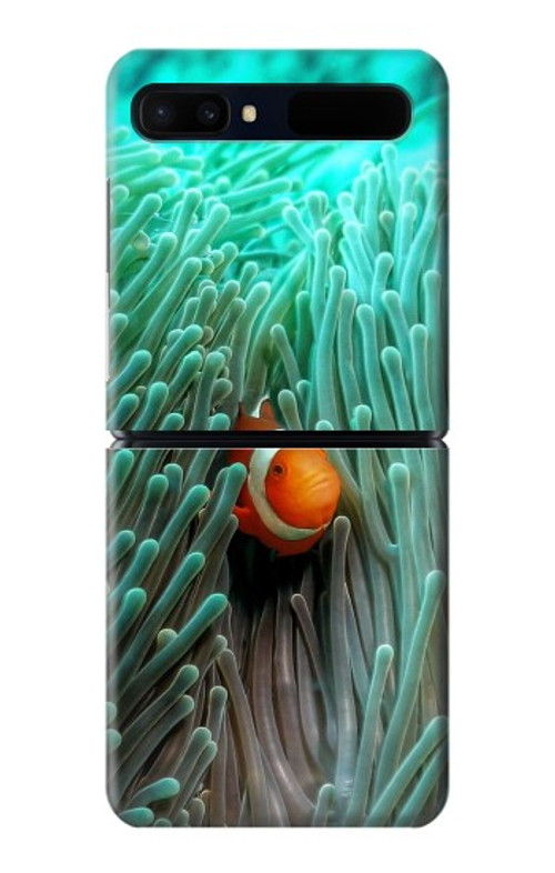 W3893 Ocellaris clownfish Case Cover Custodia e Flip Case per Samsung Galaxy Z Flip 5G