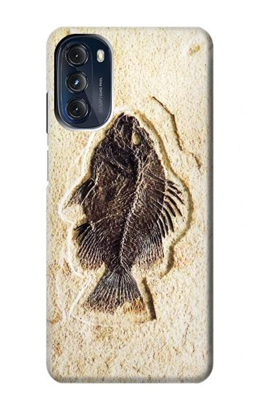 W2562 Fossil Fish Case Cover Custodia e Flip Case per Motorola Moto G 5G (2023) W2562 Fossil Fish Case Cover Custodia e Flip Case per Motorola Moto G 5G (2023)