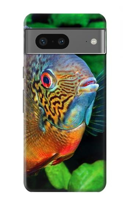 W1812 Cichlid Fish Case Cover Custodia e Flip Case per Google Pixel 7a