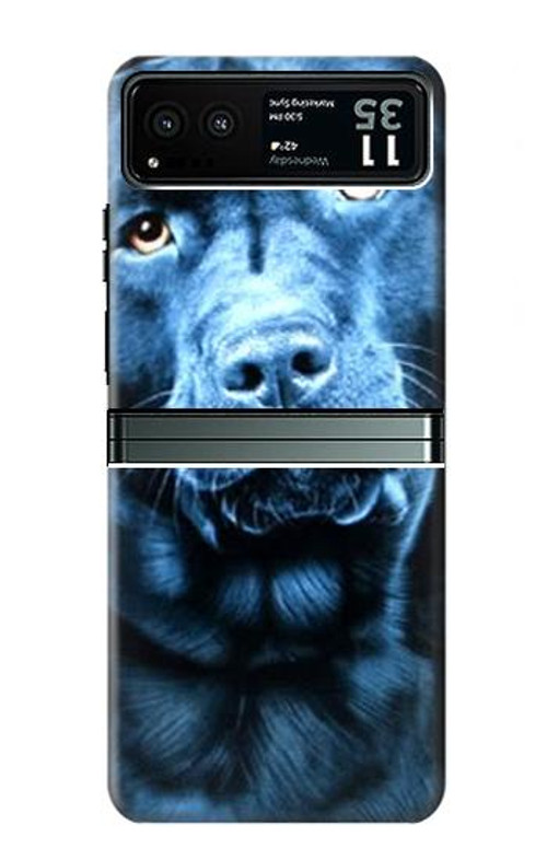 W0750 Labrador Retriever Case Cover Custodia e Flip Case per Motorola Razr 40