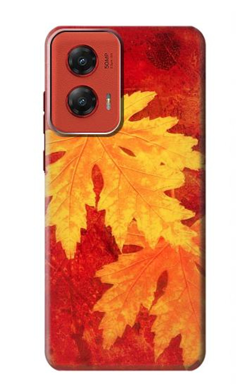 W0479 Maple Leaf Case Cover Custodia e Flip Case per Motorola Moto G Stylus 5G (2024)