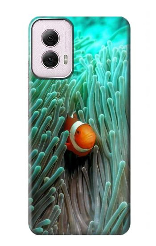 W3893 Ocellaris clownfish Case Cover Custodia e Flip Case per Motorola Moto G Power 5G (2024)