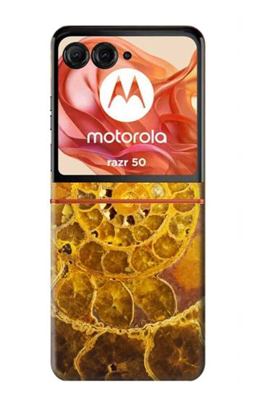 W1789 Ammonite Fossils Case Cover Custodia e Flip Case per Motorola Razr 50