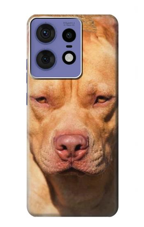 W2903 American Pitbull Dog Case Cover Custodia e Flip Case per Motorola Edge 50 Pro