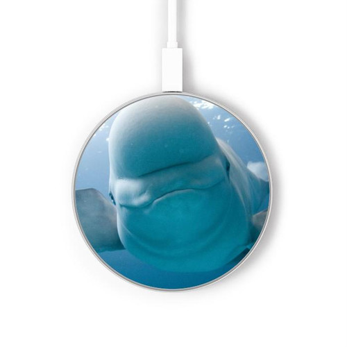 W1801 Beluga Whale Smile Whale Caricabatterie wireless da 15W, tipo C, per iPhone e Android, con luce LED