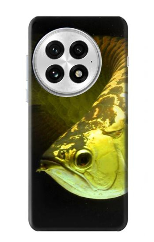 W1021 Gold Arowana Fish Case Cover Custodia e Flip Case per OnePlus 13 W1021 Gold Arowana Fish Case Cover Custodia e Flip Case per OnePlus 13