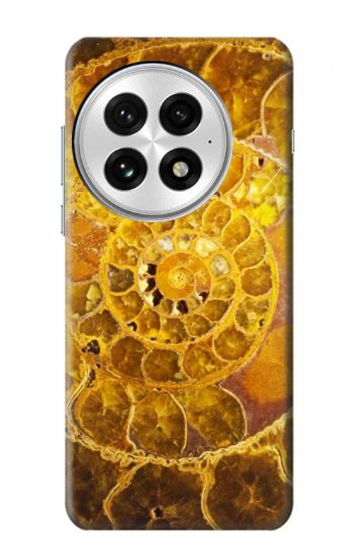 W1789 Ammonite Fossils Case Cover Custodia e Flip Case per OnePlus 13