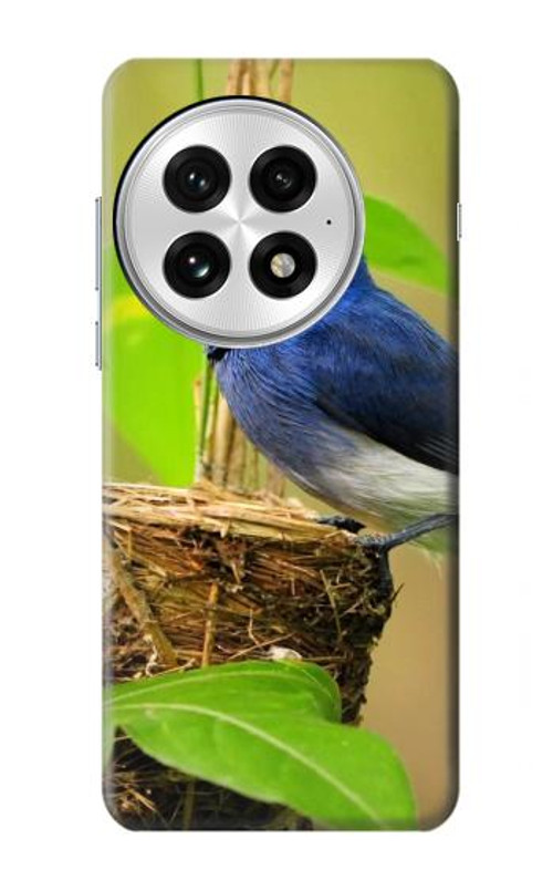 W3839 Bluebird of Happiness Blue Bird Case Cover Custodia e Flip Case per OnePlus 13
