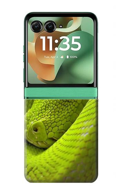 W0785 Green Snake Case Cover Custodia e Flip Case per Motorola Razr 60, Razr 2025