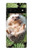 W3863 Pygmy Hedgehog Dwarf Hedgehog Paint Case Cover Custodia e Flip Case per Google Pixel 6