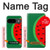 W2383 Watermelon Case Cover Custodia e Flip Case per Google Pixel 9