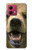 W0840 Grizzly Bear Face Case Cover Custodia e Flip Case per Motorola Moto G84 W0840 Grizzly Bear Face Case Cover Custodia e Flip Case per Motorola Moto G84