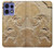 W0380 Dinosaur Fossil Case Cover Custodia e Flip Case per Motorola Edge 50 Pro