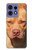 W2903 American Pitbull Dog Case Cover Custodia e Flip Case per Motorola Edge 50 Pro