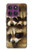W0977 Baby Raccoons Case Cover Custodia e Flip Case per Motorola Edge 60 Pro