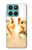 W2546 Hand of God Heaven Case Cover Custodia e Flip Case per Motorola Edge 60 Fusion