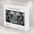 W3372 Lion Face Case Cover Custodia per MacBook 12″ - A1534