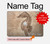 W3214 Seahorse Skeleton Fossil Case Cover Custodia per MacBook Air 13″ - A1369, A1466