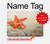W3212 Sea Shells Starfish Beach Case Cover Custodia per MacBook Pro 14 M1,M2,M3 (2021,2023) - A2442, A2779, A2992, A2918