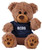 RCDS Teddy Bear - Brown