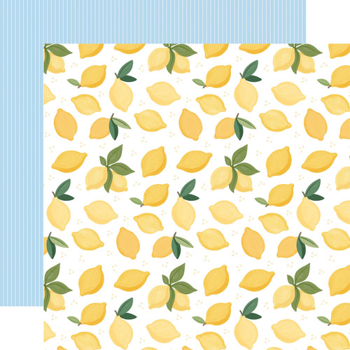 Lemonade: Life Gives You Lemons Paper