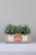Always Be Thankful Centerpiece Box