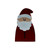 Santa Christmas Character