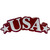 USA Outline