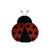 HK  Ladybug