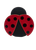 HK  Ladybug