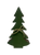 small evergreen tree