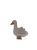 small goose