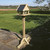 Hutton Epsom Bird Table with Feeder