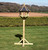 Hutton Windsor Bird Table