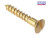 ForgeFix Wood Screw Slotted Raised Head ST Solid Brass