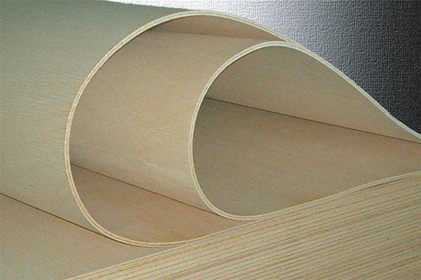 2440mm x 1220mm - Flexible Plywood Panels