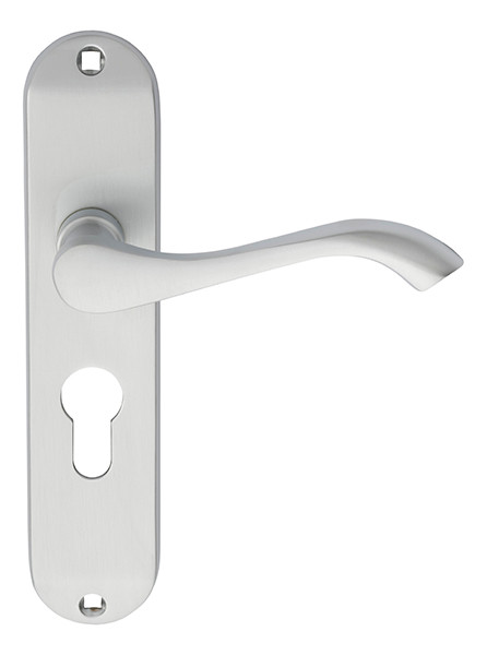 Carlisle Brass Andros Lever on Euro Lock Backplate
