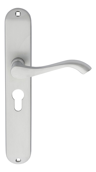 Carlisle Brass Andros Lever on Euro Lock Long Backplate