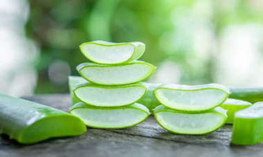 What is Aloe?