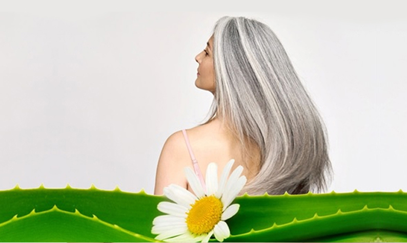 What Will Aloe Vera Shampoo and Conditioner Do for Your Hair?  What Will Aloe Vera Shampoo and Conditioner Do for Your Hair?