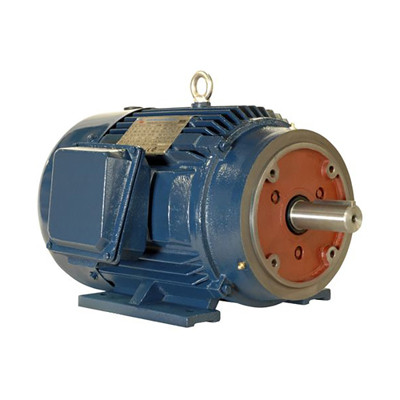 10 hp 215TC electric motor 1800 rpm 3 phase 208-230/460 totally enclosed (Twin 10)