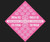 Hot Pink Bandana