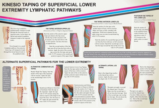 Kinesio Fan-Cut, Integrated Medical