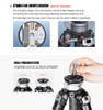Sunwayfoto T2840CE+XB-38 Explorer Series Carbon Fiber  4-section Twist Lock Tripod with Center Column and Low Profile Ball Head Kit (Max Load 16kg)
