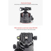 Sunwayfoto T3650CM+XB-52 Master Series Carbon Fiber 5-section Twist Lock Travel Tripod with Low Profile Ball Head Kit (Max Load 25kg)