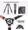 Sunwayfoto T3650CM+XB-52 Master Series Carbon Fiber 5-section Twist Lock Travel Tripod with Low Profile Ball Head Kit (Max Load 25kg)