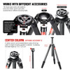 Sunwayfoto T3240CM+XB-44 Master Series Carbon Fiber 4-section Twist Lock Travel Tripod with Low Profile Ball Head Kit (Max Load 25kg)