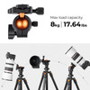  K&F Concept KF09.101V1 K234A0+BH-28L Foldable Lightweight Aluminum Tripod with Ball Head & Phone Holder