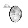 Aputure 2x Amaran 200D S 200W Compact Daylight COB LED Lighting Kit