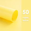 Fotolux 90cm x 120cm Pastel 4-Pack Large PVC Background Sheet for Products/Portrait Photography (Rose Pink +Blue Lake + Light Yellow + Light Teal) -Bulk Buy 